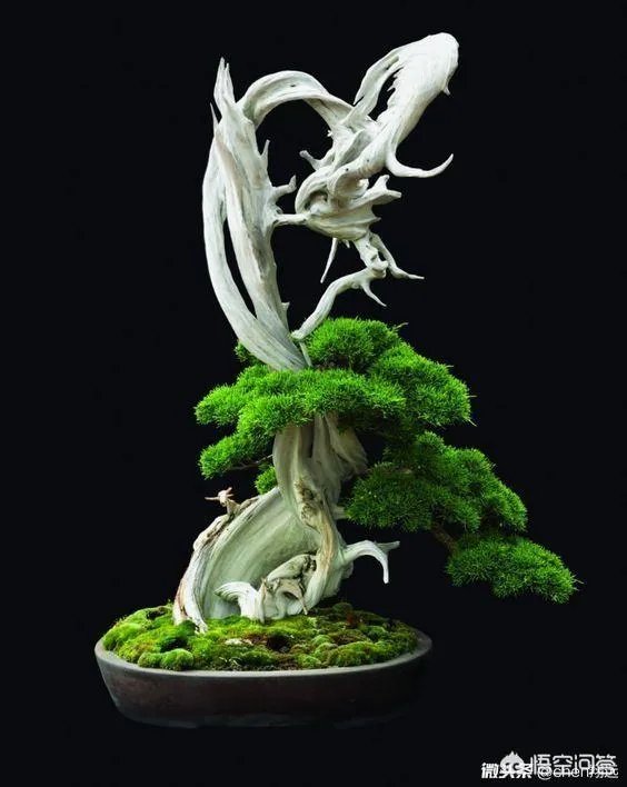 霍金去世了，你怎么看待霍金？