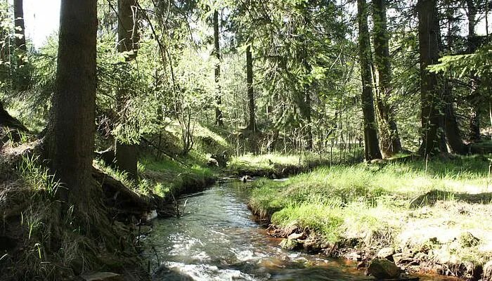热带雨林气候特点 热带雨林有哪些气候特点