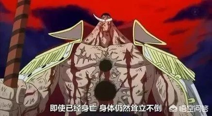 藤虎如果早两年当上大将，他的果实能力能挡住白胡子进攻吗？