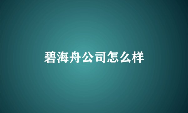 碧海舟公司怎么样