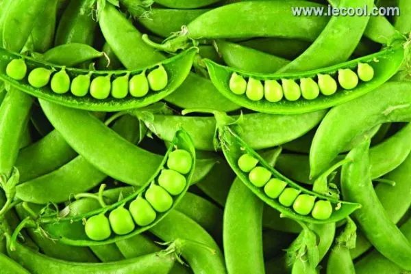 种子旅行的方法有哪些？