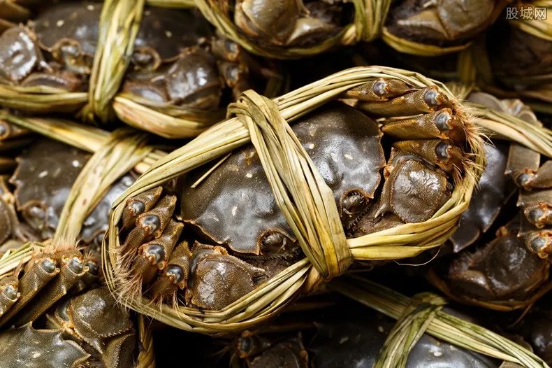 阳澄湖大闸蟹几月上市 阳澄湖大闸蟹多少钱一斤