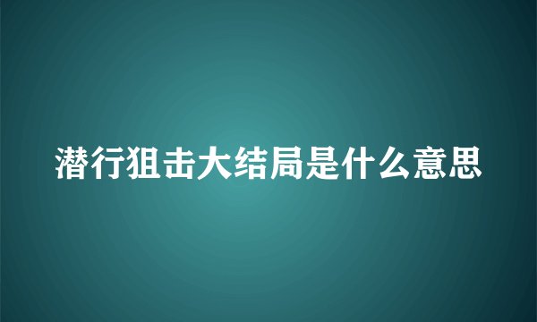 潜行狙击大结局是什么意思