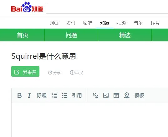 Squirrel是什么意思