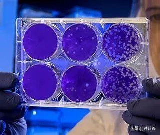 美国新增确诊减少了