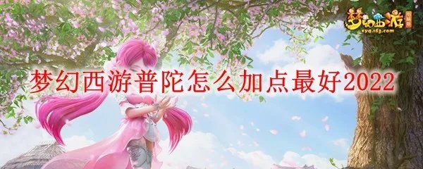 梦幻西游普陀怎么加点最好2022