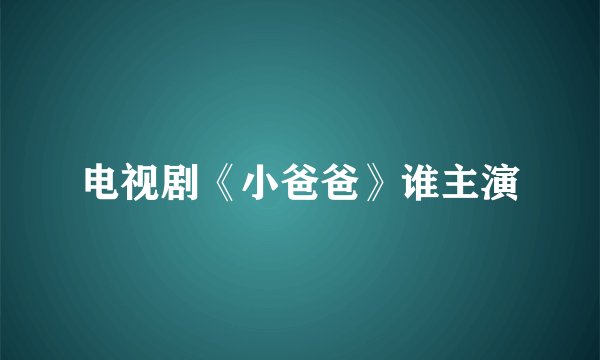 电视剧《小爸爸》谁主演