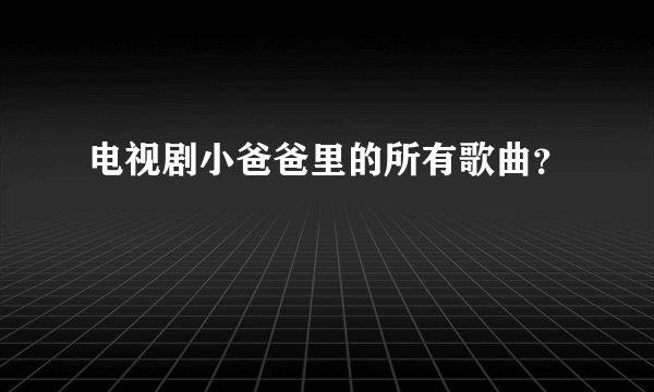 电视剧小爸爸里的所有歌曲？