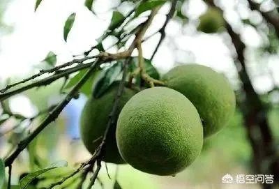 如何看待青岛一医院涉嫌卖假药被处罚692.5元这件事？