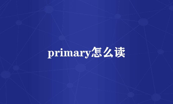 primary怎么读