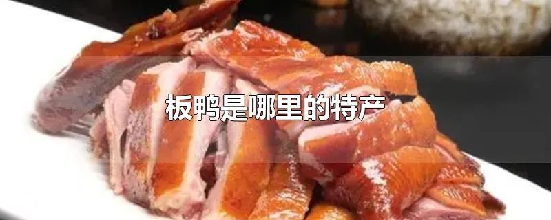 板鸭是哪里的特产
