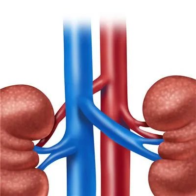 肾病中医怎么治疗？