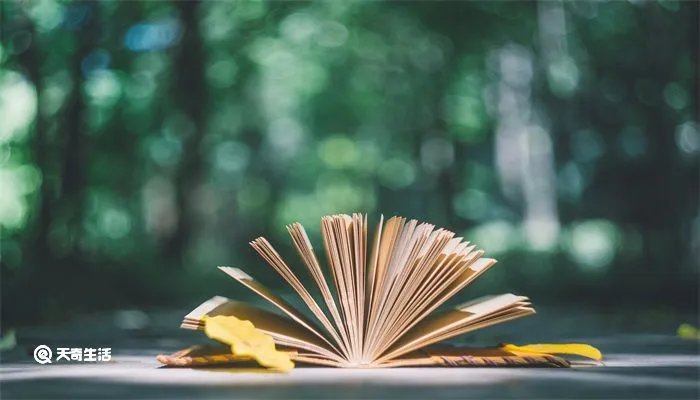 海派是什么意思