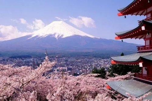 5月赴日旅游仅1700人，日本游客为何变少了？