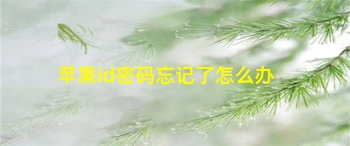 苹果id密码忘记了怎么办