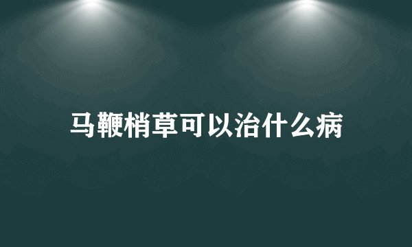 马鞭梢草可以治什么病