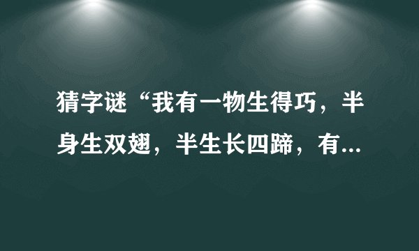 猜字谜“我有一物生得巧，半身生双翅，半生长四蹄，有蹄跑不快，有翅飞不好”