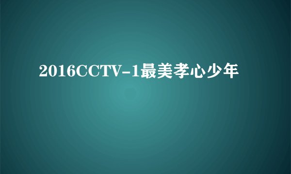 2016CCTV-1最美孝心少年