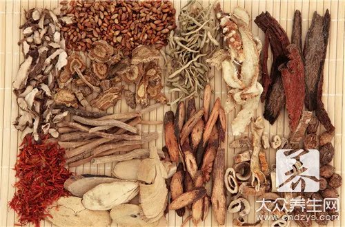 男人中药补药大全集