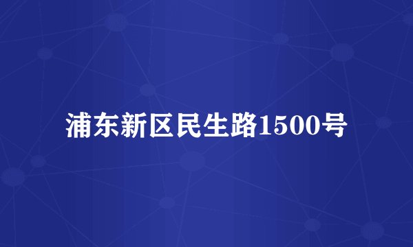 浦东新区民生路1500号