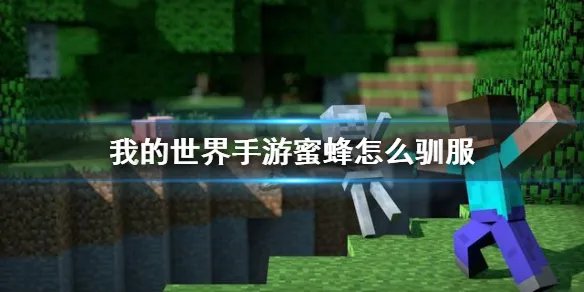 《我的世界手游》蜜蜂怎么驯服 蜜蜂驯服方法