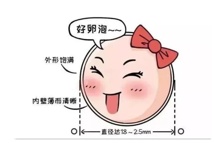 九江捐卵试管机构-九江试管婴儿费用是多少？ 九江市妇幼保健院试管费用是多少？