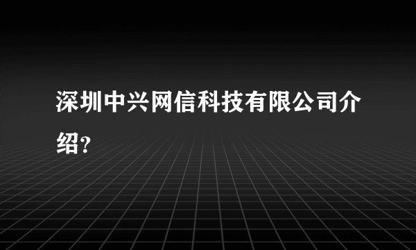 深圳中兴网信科技有限公司介绍？