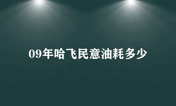 09年哈飞民意油耗多少