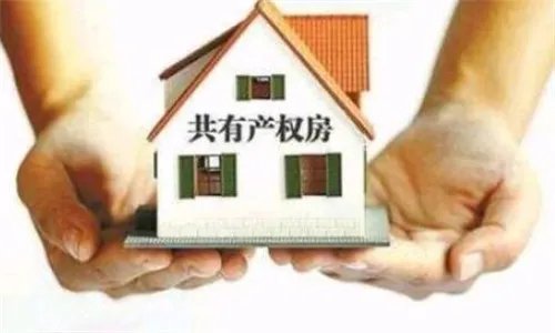 房产共有产权什么意思