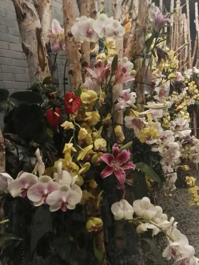 一些农产品滞销的本质是什么?