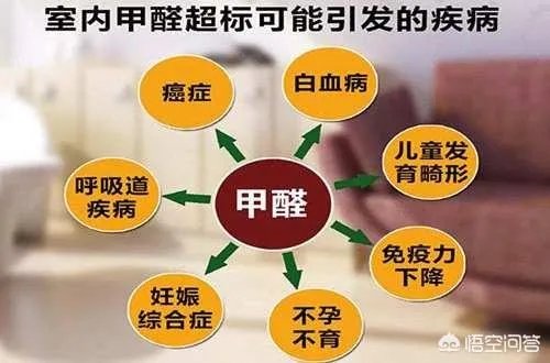 云南一高校宿舍甲醛超标，学生身体不适搬离学校，校方称检测合格，你相信谁？