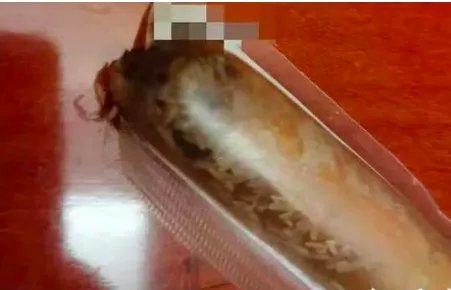 良品铺子鸡肉肠生蛆，是真的吗？