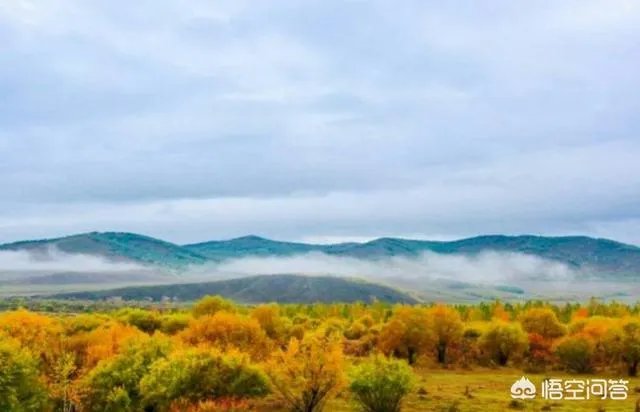 内蒙发展什么行业