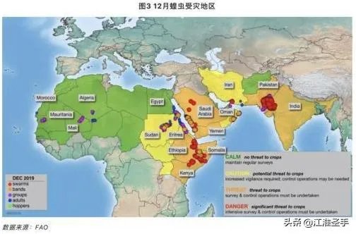 联合国官员说，正在侵袭非洲的蝗虫，会进入了印度，巴基斯坦，你怎么看这些自然现象？