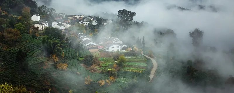 四时田园杂兴其三十一古诗的意思 四时田园杂兴其三十一古诗的意思是什么