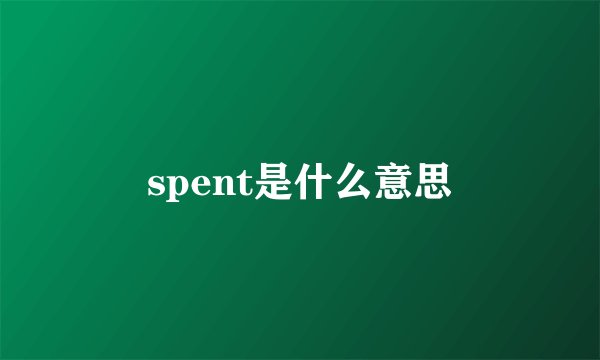 spent是什么意思