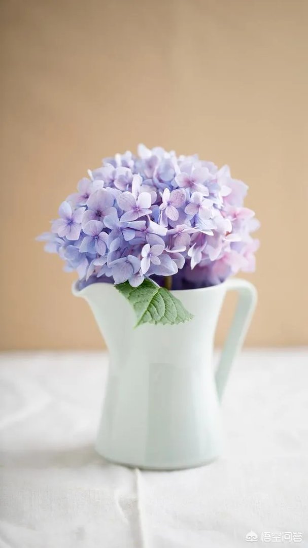 请问文人四友是什么？