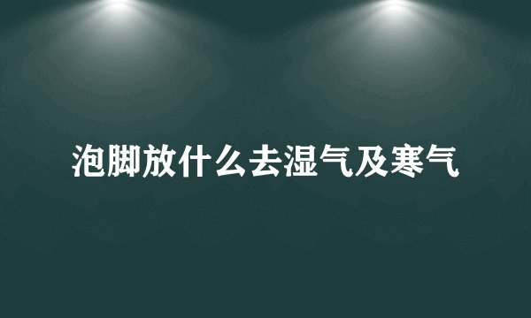 泡脚放什么去湿气及寒气