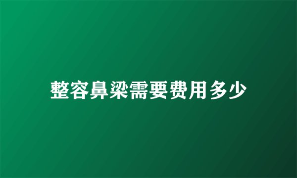 整容鼻梁需要费用多少