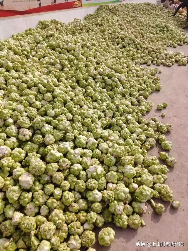 涪陵榨菜什么牌子的好？