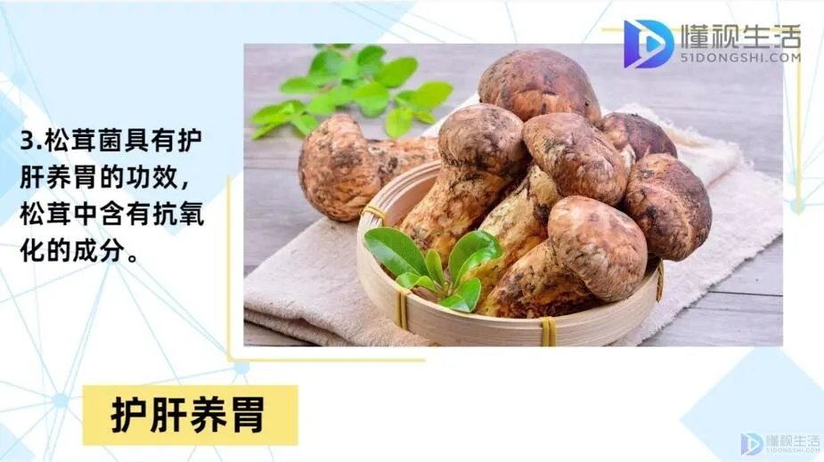松茸菌的功效与作用及食用方法