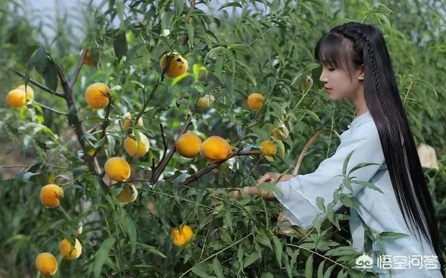 李子柒是不是文化输出引热议，你怎么看？