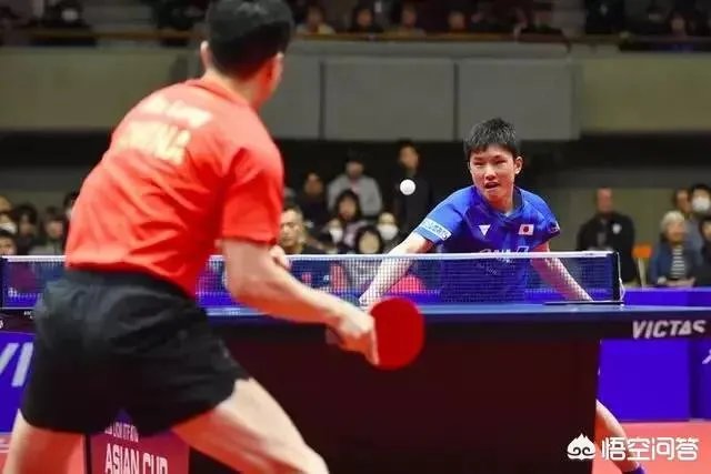 亚洲杯马龙3:1轻取张本智和，彻底打散了张本的傲气，你怎么看？