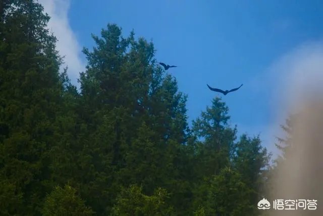 你印象中的大西北还是那个骑骆驼上学的景象吗,现在是什么样子的?