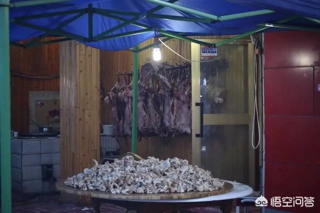 你印象中的大西北还是那个骑骆驼上学的景象吗,现在是什么样子的?