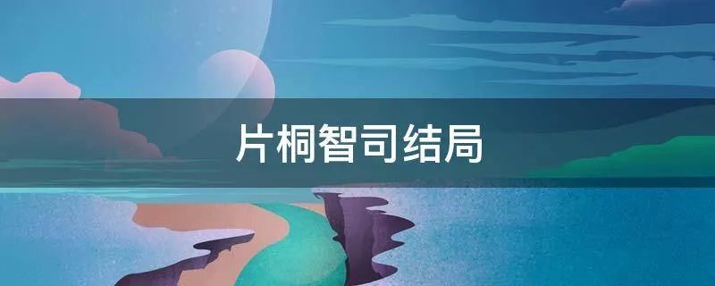 片桐智司结局