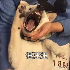 我的世界好玩吗?做视频的话我几天更一期视频呢?