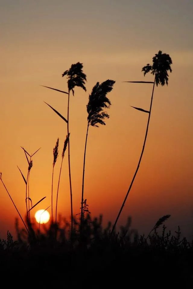 一个好友谈了一个很差的男朋友,我应该劝她分手吗?