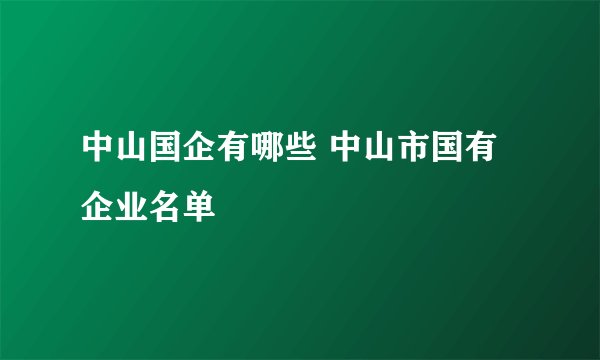 中山国企有哪些 中山市国有企业名单