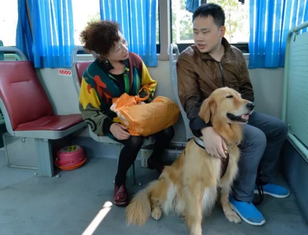 狗能坐公交车吗？